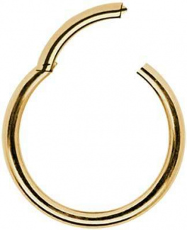 Clicker Gelbgold Echt Gold 750 18K Nasenring Ohrring