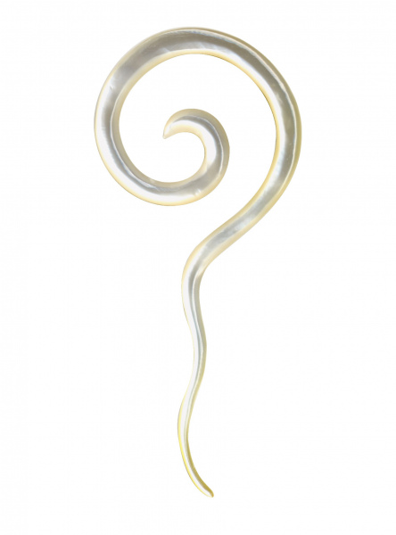 Dehnungssichel Dehnspirale Muschel Perlmutt Weiss Creme 2mm