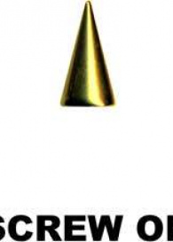 Aufsatz Spitze Chirurgenstahl Gold