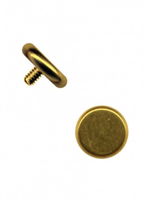 Top Dermal Anchor Surgical Steel Round Gold