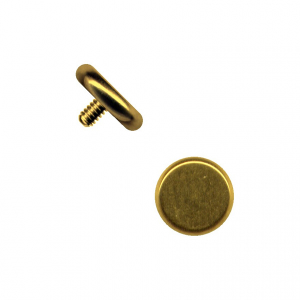 Haut Dermal Anker Aufsatz Chirurgenstahl Platte Rund Gold