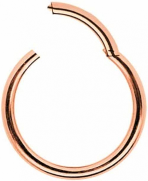Clicker Ring Chirurgenstahl Scharnier Roségold Rose Gold Klassisch