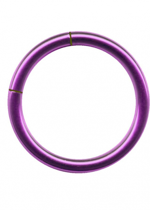 Segment Ring Titanium Purple Lilac