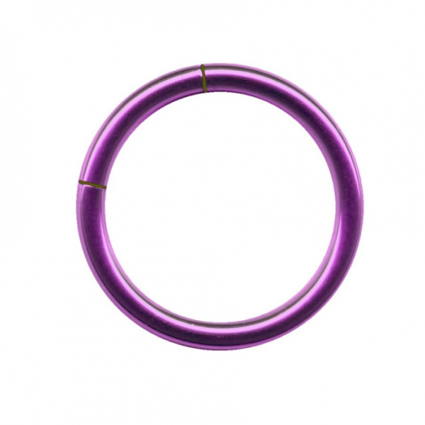 Segment Ring Titanium Purple Lilac