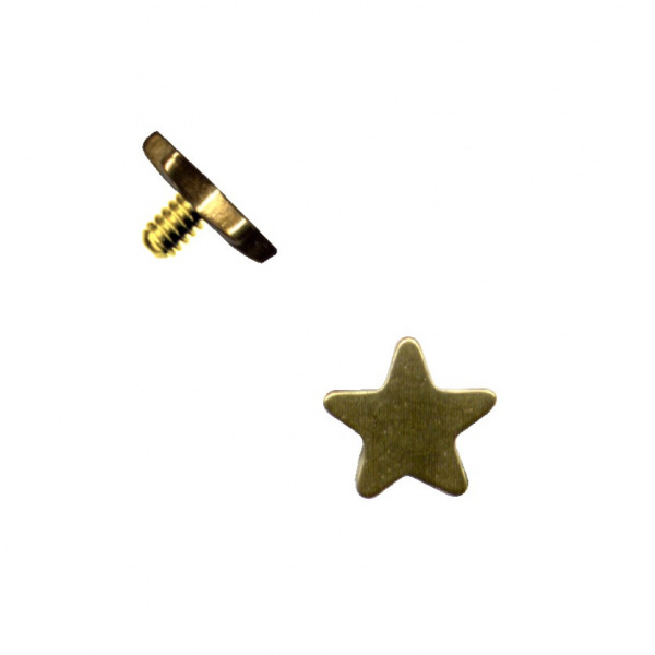 Haut Dermal Anker Aufsatz Chirurgenstahl Stern Gold