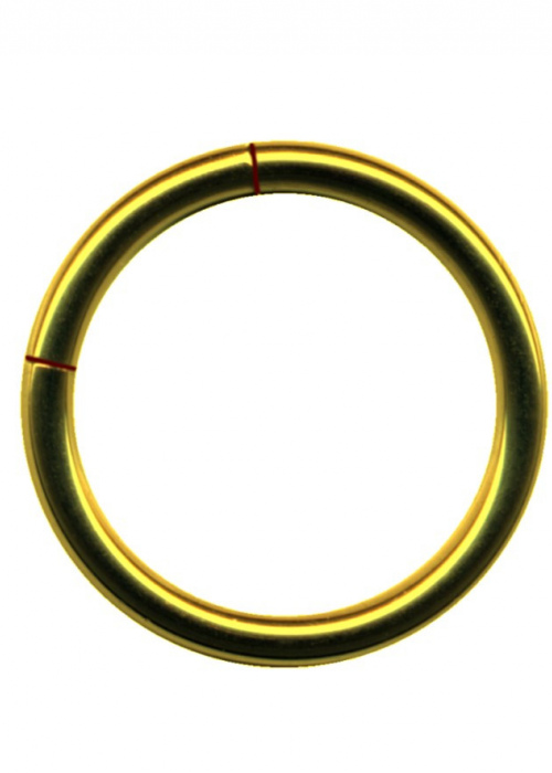 Segment Ring Surgical Steel Yellow Gold